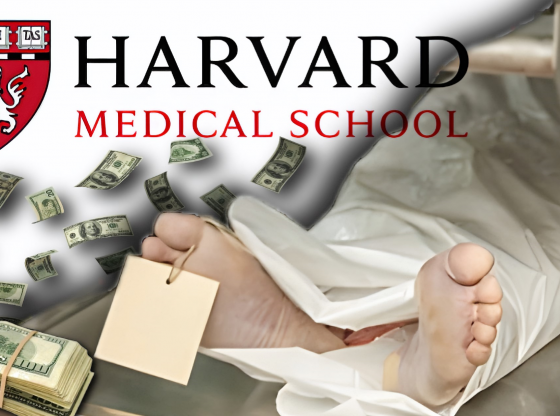 Harvard Medical School donated body parts for scientific research are being trafficked. Photo credit: Alexander J. Williams III/Pop Acta